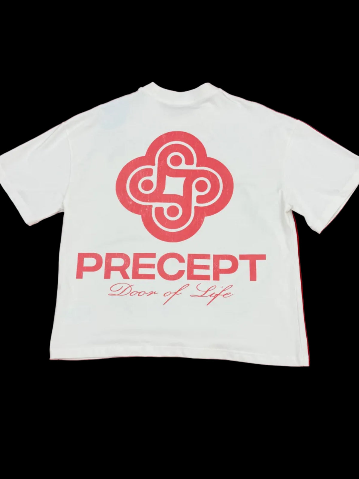 PRECEPT SICILIA T SHIRT