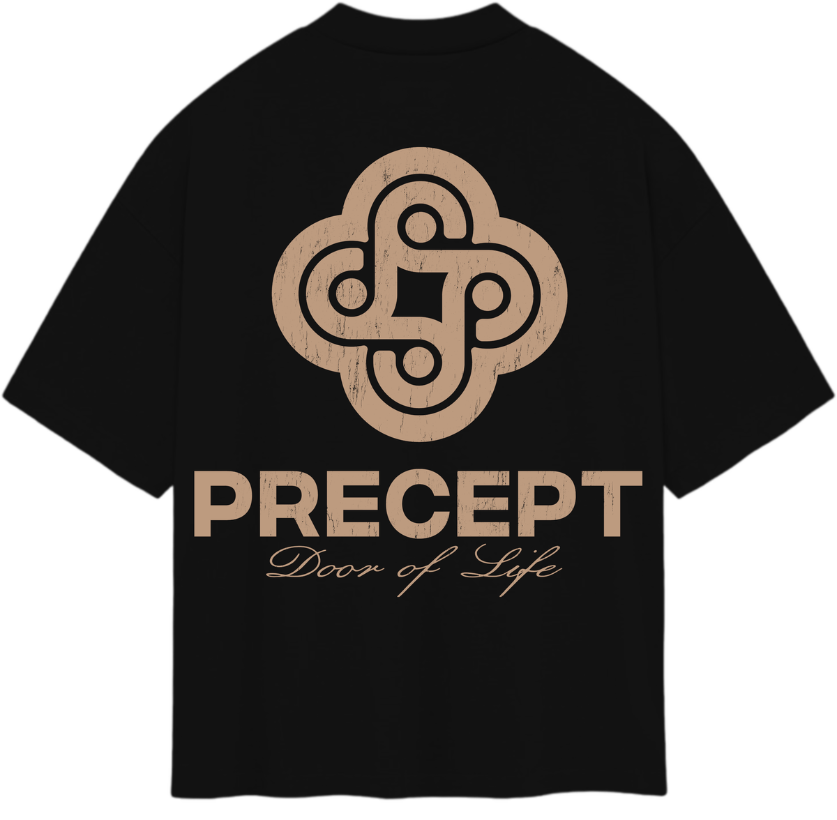 PRECEPT TARÁNTULA T SHIRT